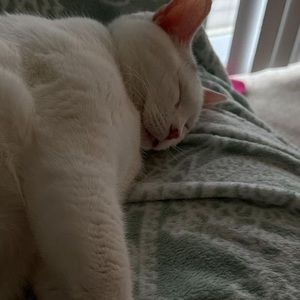 Meet your Posher, Tammy